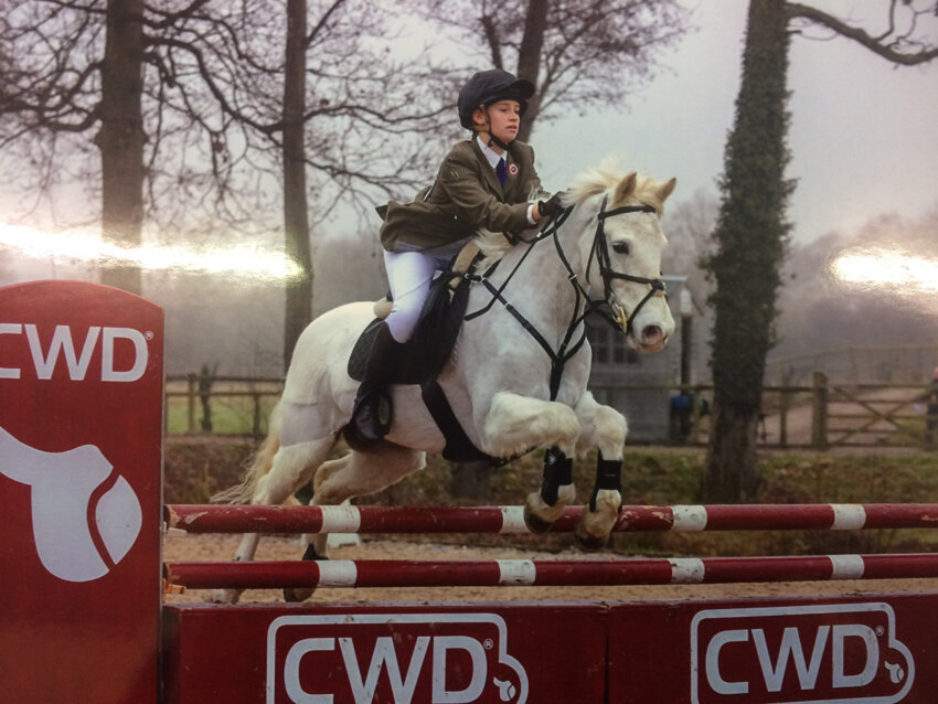 Image of Showjumping Success