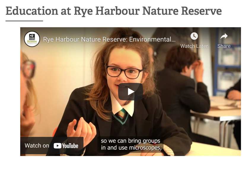 Image of Rye College Students star in the new Rye Harbour Nature Reserve Film!